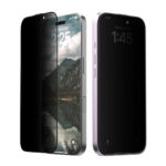 araree Core Privacy for iPhone16 (CLEAR BLACK)